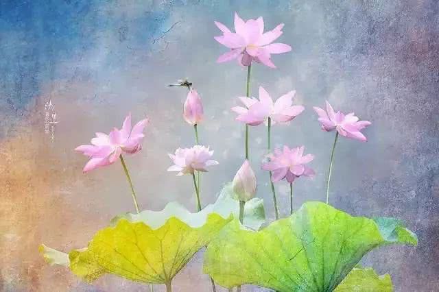 觉有情居士:一位灵眼者讲述的四个邪婬真实因缘果报的案例